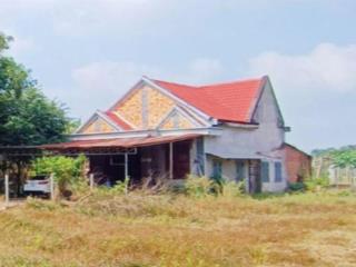 1124m2(13.7 x 73)m nở hậu 17m, đường qh cắt giữa đất|giá 2,55 tỷ vị trí sau bệnh viện mới ngãi giao