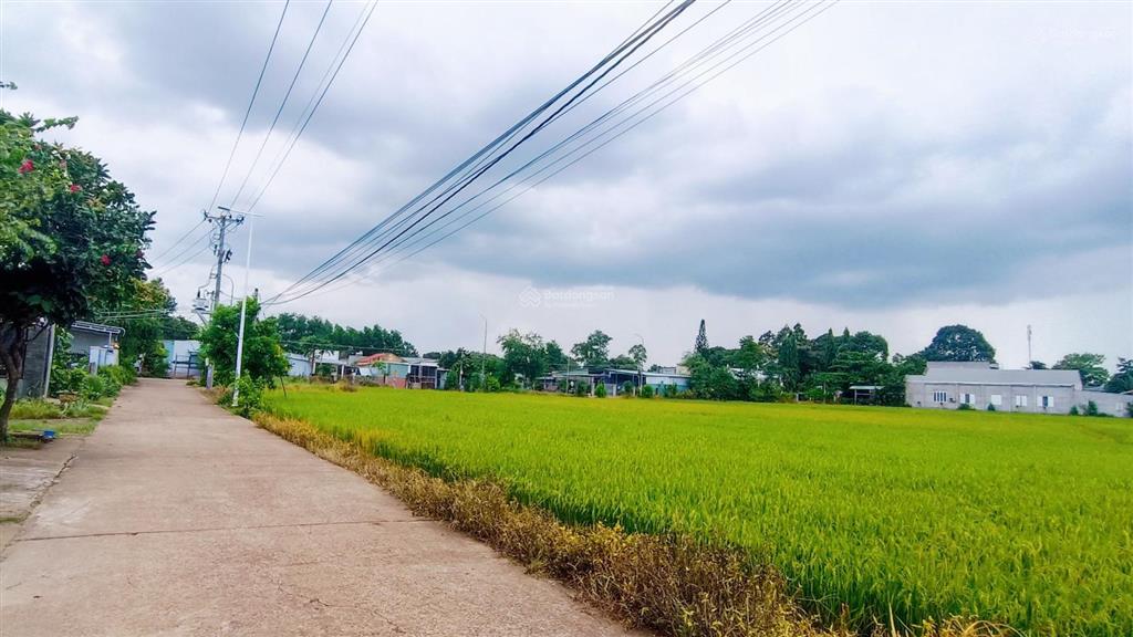 8600 m2 mặt tiền 120 m, giá 24 tỷ, vị trí đẹp cạnh ngã 4 lê hồng phong ngãi giao có đầu tư đa nghề