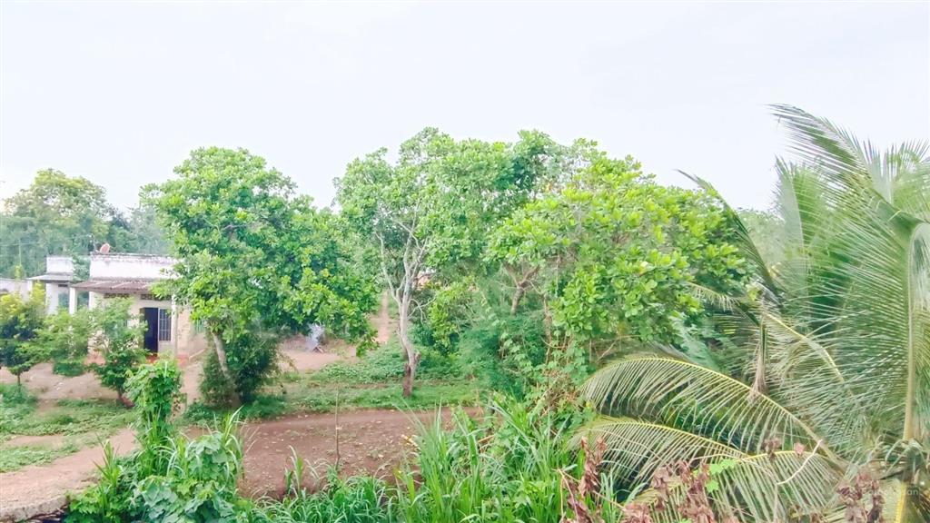 13,8 tỷ 8461m2 đường liên xã cạnh trung tâm ngãi giao, cạnh ngã 4 lê hồng phong, cty meisheng