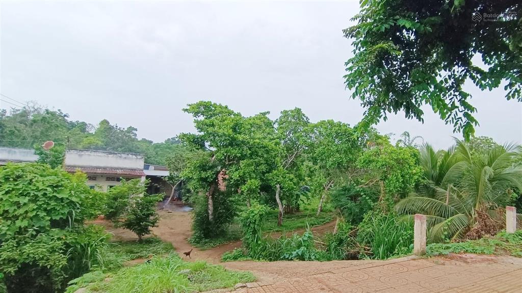 13,8 tỷ 8461m2 đường liên xã cạnh trung tâm ngãi giao, cạnh ngã 4 lê hồng phong, cty meisheng