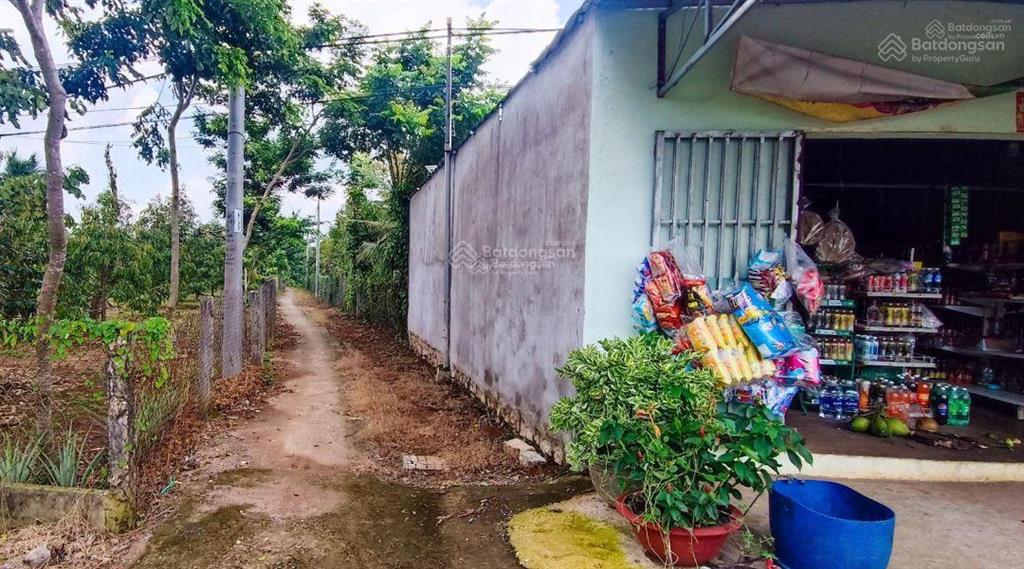 Giảm 3,48 tỷ có nhà vườn 2 mt gần dự án kcn cù bị dt1202 m2 đường nhựa láng lớn xà bang siêu đẹp