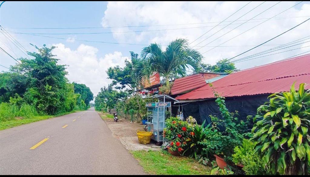 Giảm 3,48 tỷ có nhà vườn 2 mt gần dự án kcn cù bị dt1202 m2 đường nhựa láng lớn xà bang siêu đẹp