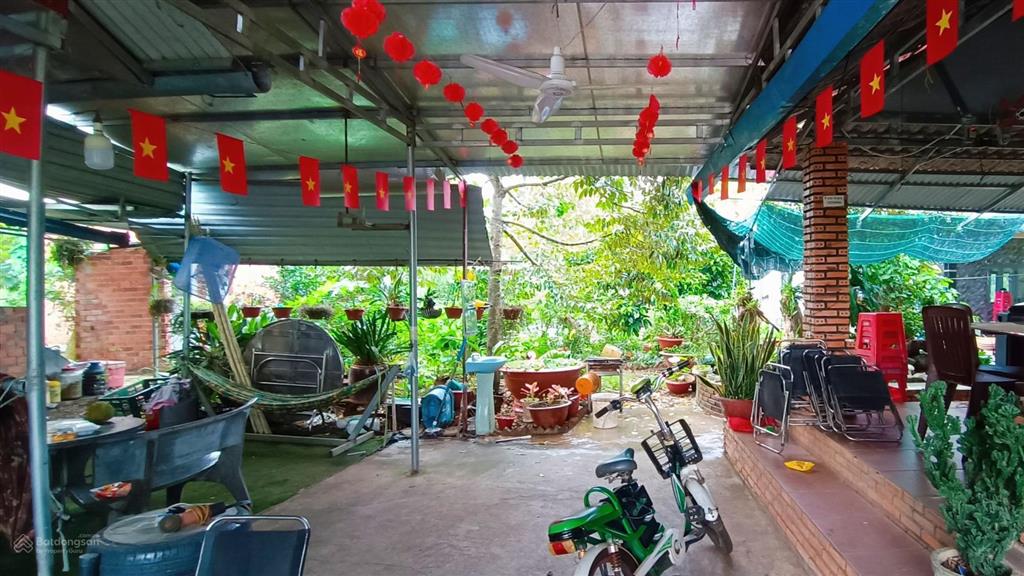 Giảm 3,48 tỷ có nhà vườn 2 mt gần dự án kcn cù bị dt1202 m2 đường nhựa láng lớn xà bang siêu đẹp