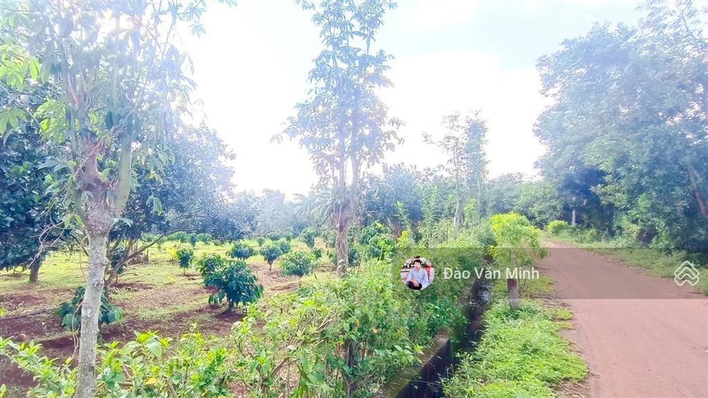 10.020m2(300 tc)|giá 13 tỷ. mặt tiền 200 m,đất có suối bao quanh đất rất đẹp giá trị mặt tiền vi vu