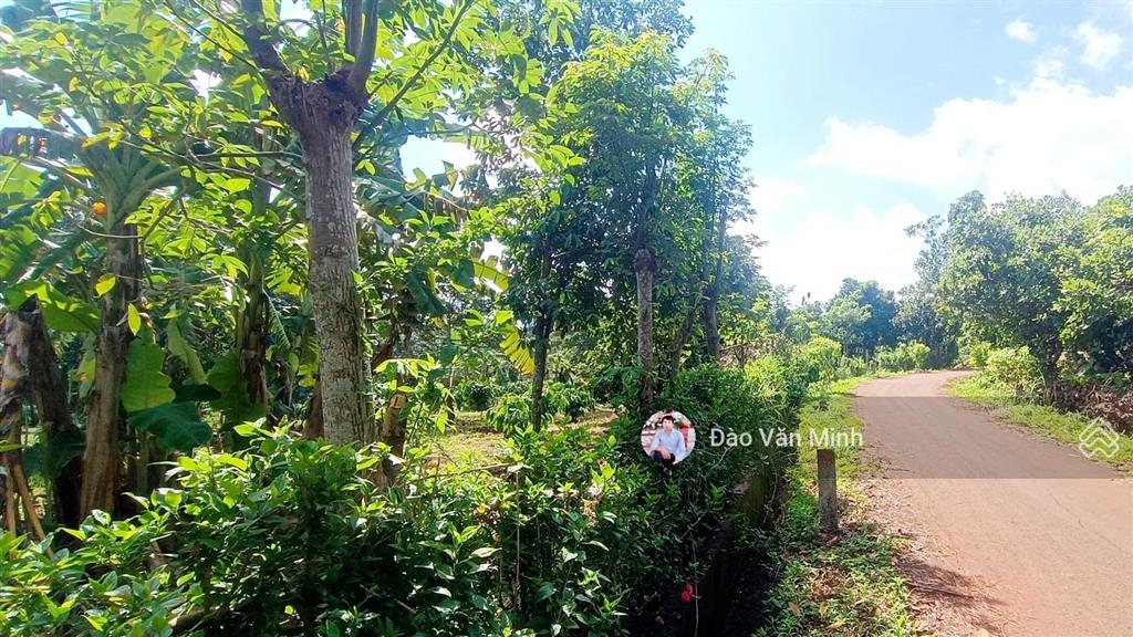 10.020m2(300 tc)|giá 13 tỷ. mặt tiền 200 m,đất có suối bao quanh đất rất đẹp giá trị mặt tiền vi vu