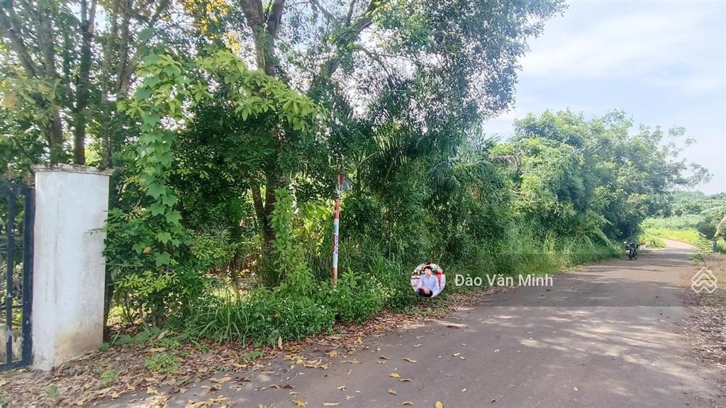 Nhà vườn 11000 m2 đường nhựa view suối|giá 12 tỷ đất khu dân cư gần ql 56 suối ôm theo đất siêu đẹp