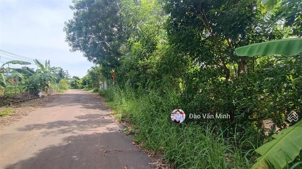 Nhà vườn 11000 m2 đường nhựa view suối|giá 12 tỷ đất khu dân cư gần ql 56 suối ôm theo đất siêu đẹp