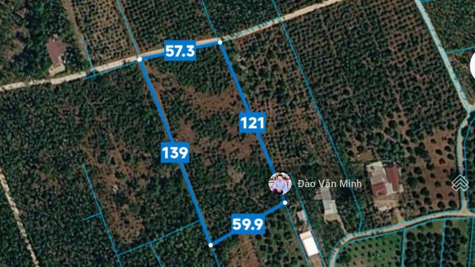 20.670 m2 view suối | 13,5 tỷ siêu vườn cafe, vườn tiêu đất đỏ bazan cực đẹp giá tốt cho mọi người
