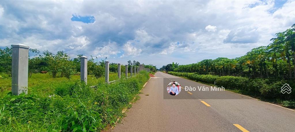 21000 m2(100 tc)mt, 203 m2 giá 22,5tỷ, lô đất tại xã đất đỏ tphcm, đường 992 rộng rãi 12 m siêu vip