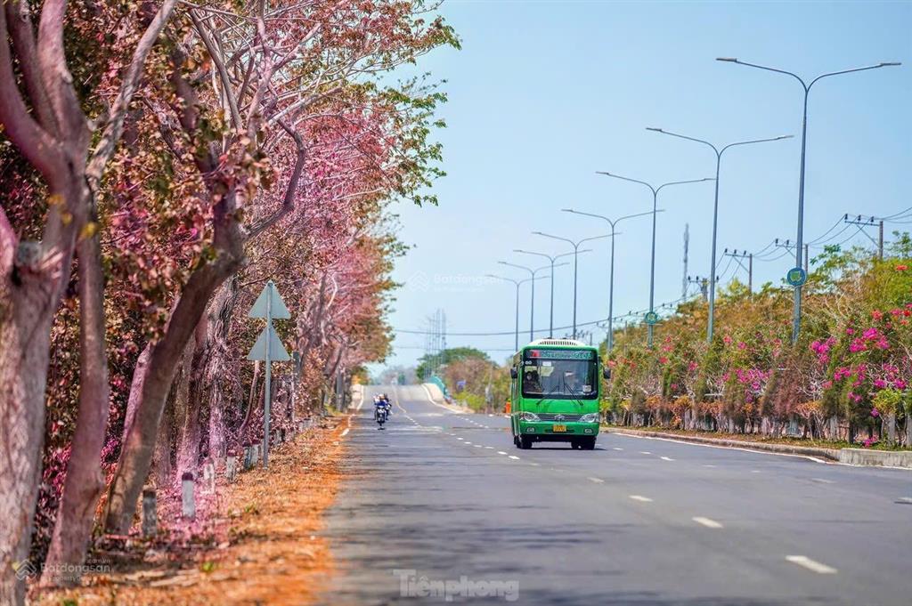 Đất khu dân cư xã bình khánh cần giờ 21tr/m2 sổ riêng thổ cư.