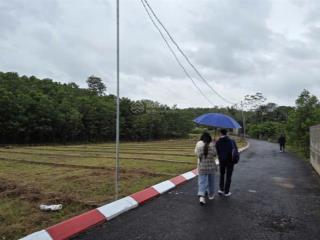 Giá chỉ 2xx triệu cơ hội giữ tiền hiếm