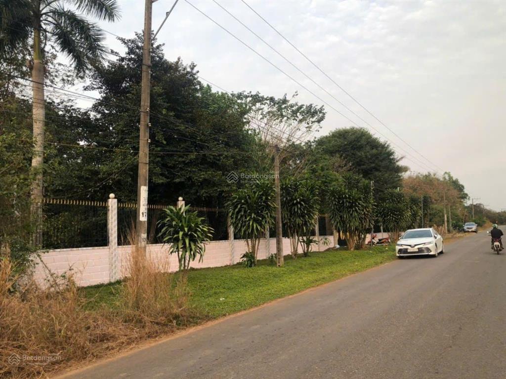 Bán hơn 1.7 hecta đất mặt tiền đường chính phước bình, long thành  300m2 thổ cư