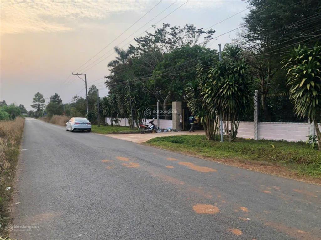 Bán hơn 1.7 hecta đất mặt tiền đường chính phước bình, long thành  300m2 thổ cư