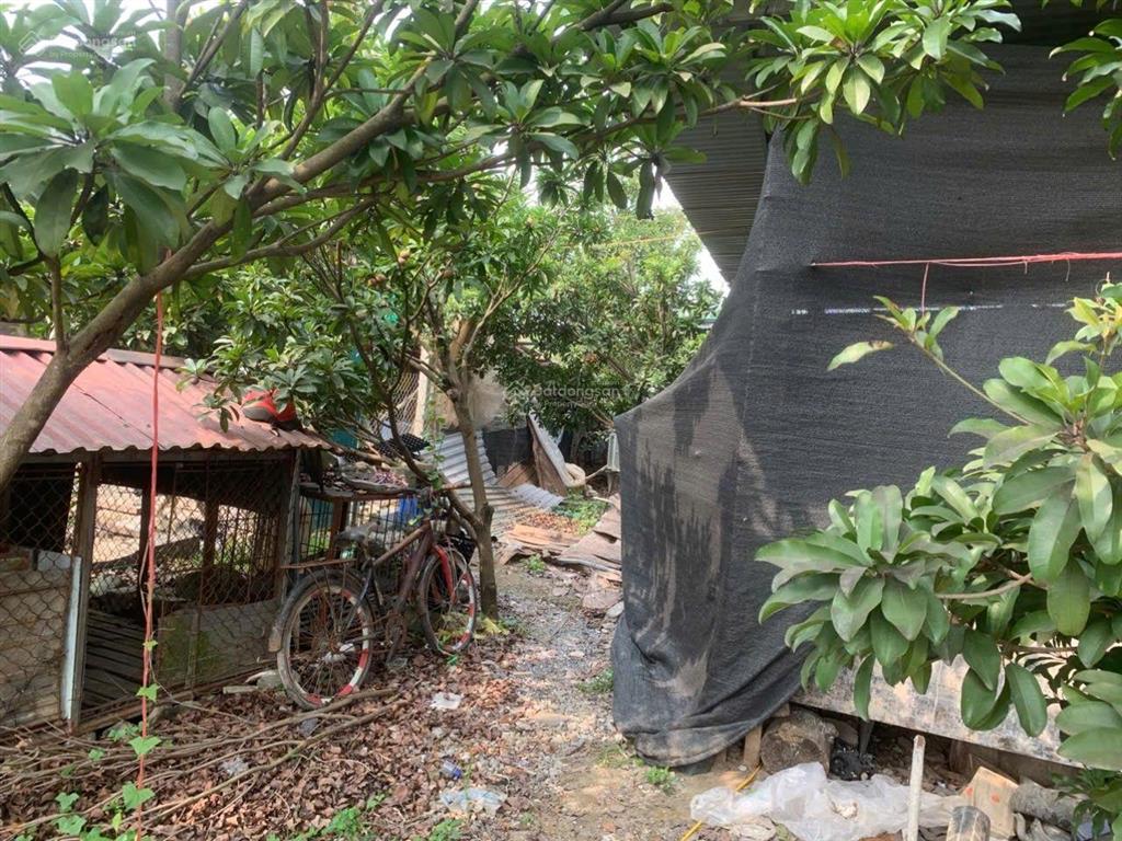 Cần bán đất ruộng 1000m2, mt 25m, có nhà lán tạm, công trình phụ, 1.65 tỷ, bắc hồng, đông anh