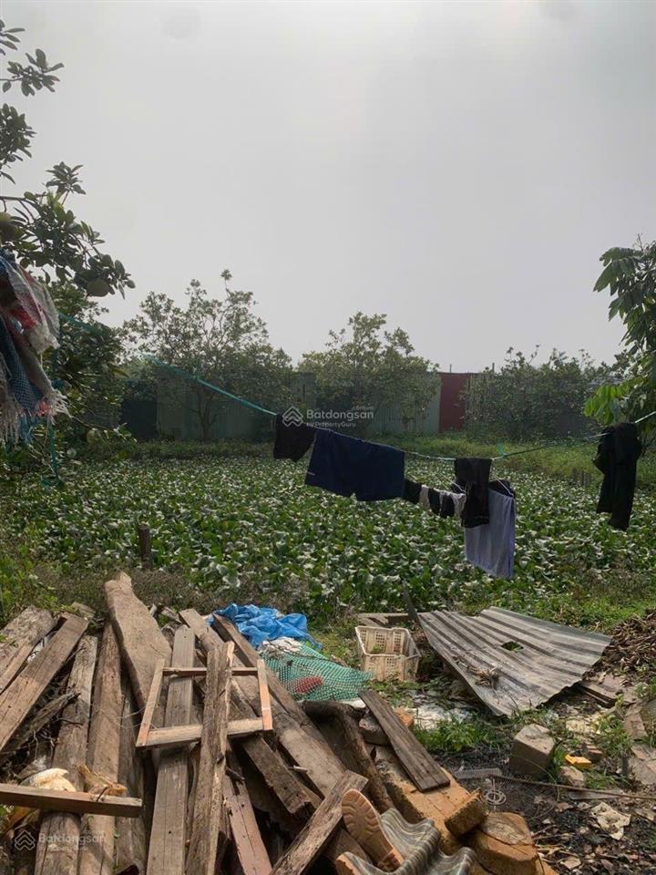 Cần bán đất ruộng 1000m2, mt 25m, có nhà lán tạm, công trình phụ, 1.65 tỷ, bắc hồng, đông anh