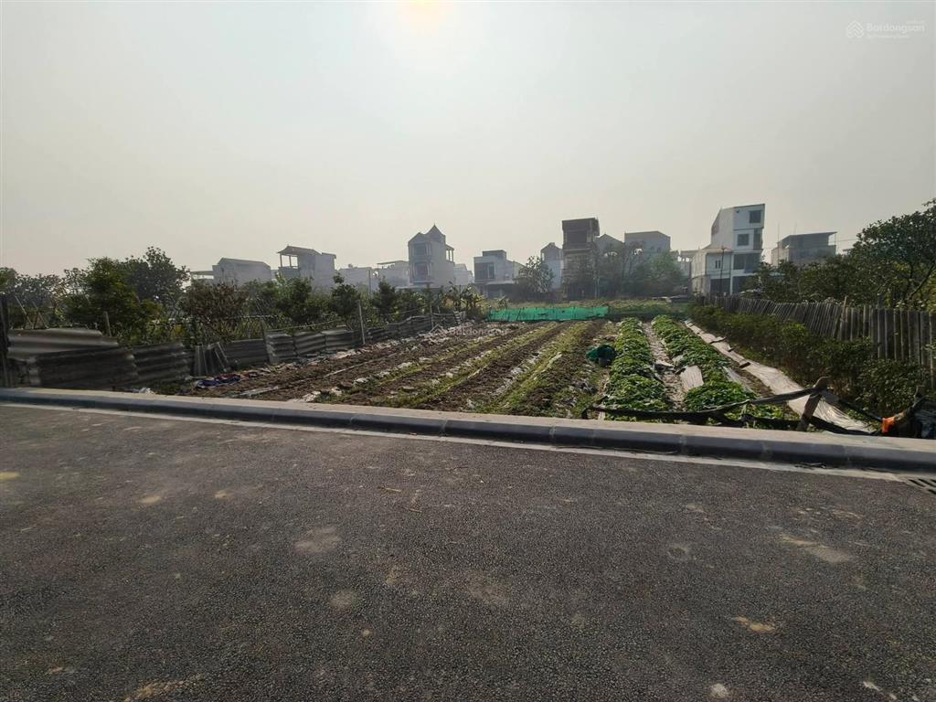 Đất ruộng vân nội 264m2, mt 10m, lúa nước, 950tr, ngay đấu giá, đông anh