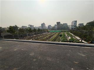 Đất ruộng vân nội 264m2, mt 10m, lúa nước, 950tr, ngay đấu giá, đông anh