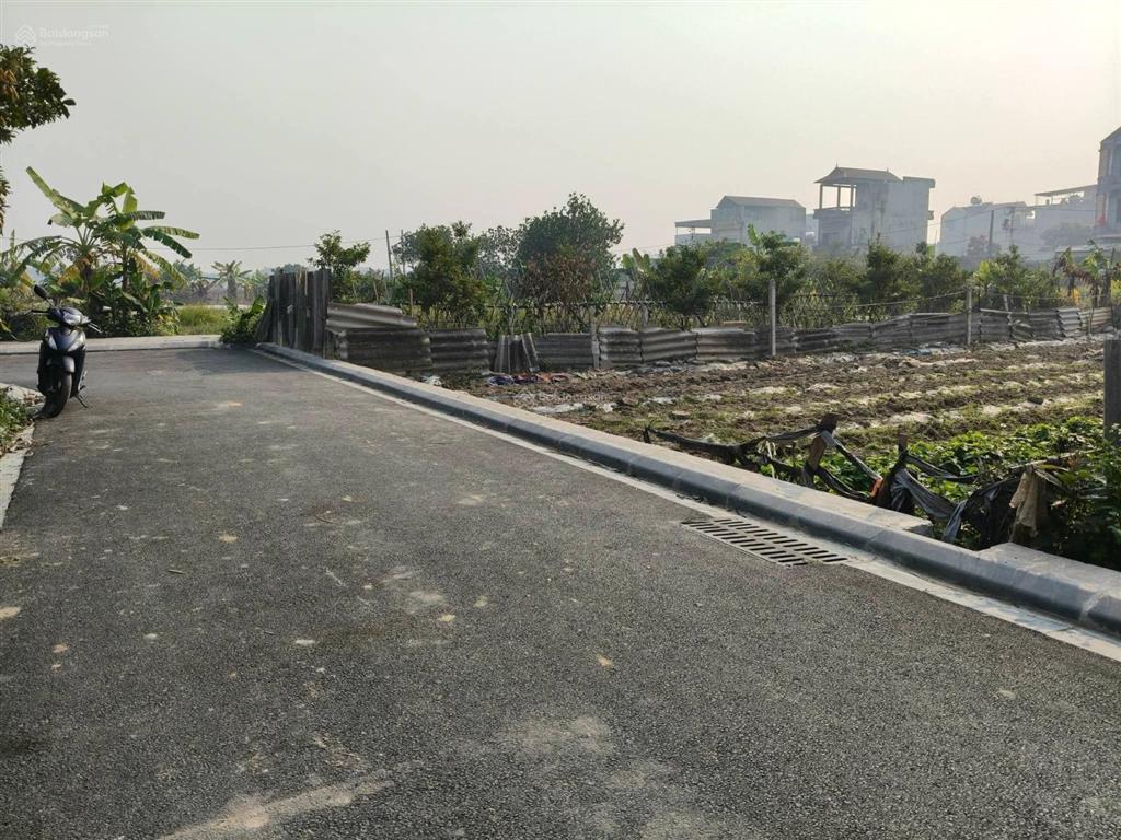 Đất ruộng vân nội 264m2, mt 10m, lúa nước, 950tr, ngay đấu giá, đông anh