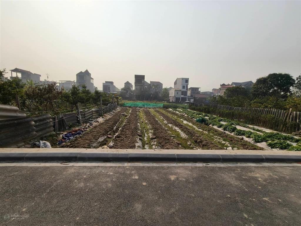 Đất ruộng vân nội 264m2, mt 10m, lúa nước, 950tr, ngay đấu giá, đông anh