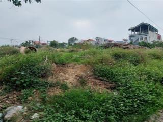 1250m2, mt 85m, đất ruộng, sxnn, thổ cư, lô góc, 13.5 tỷ, đông anh. đất ruộng 1140m2 và 110m2 thổ