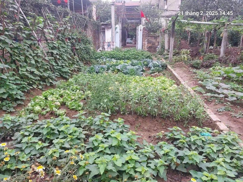 Cần sang tên mảnh đất 92m2, 4.6m, 5.8 tỷ, nở hậu, ô tô, thông, việt hùng, đông anh.