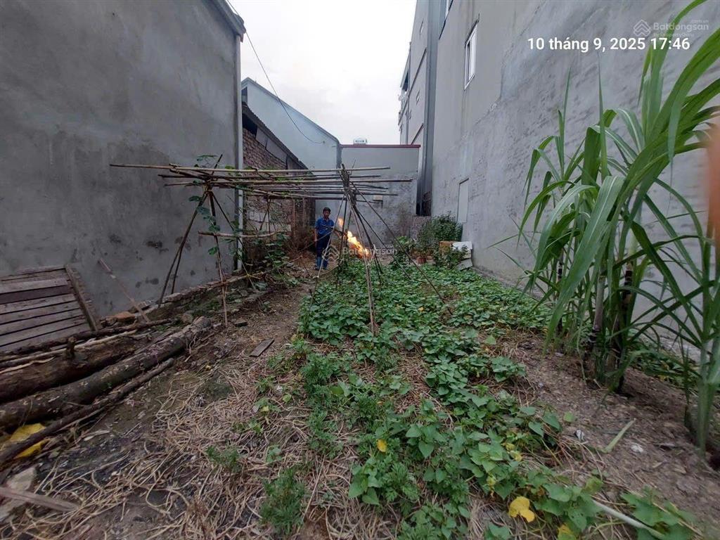 Chủ cần bán gắp đất nguyên khê 100m2, mt5m, 7.xx tỷ, đông anh, ô tô thông.