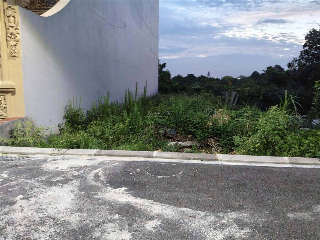 Cần bán nhanh.
đất giãn dân bắc hồng, 150m2, mt6m, 2 ô tô tránh, 8.98 tỷ, đông anh.