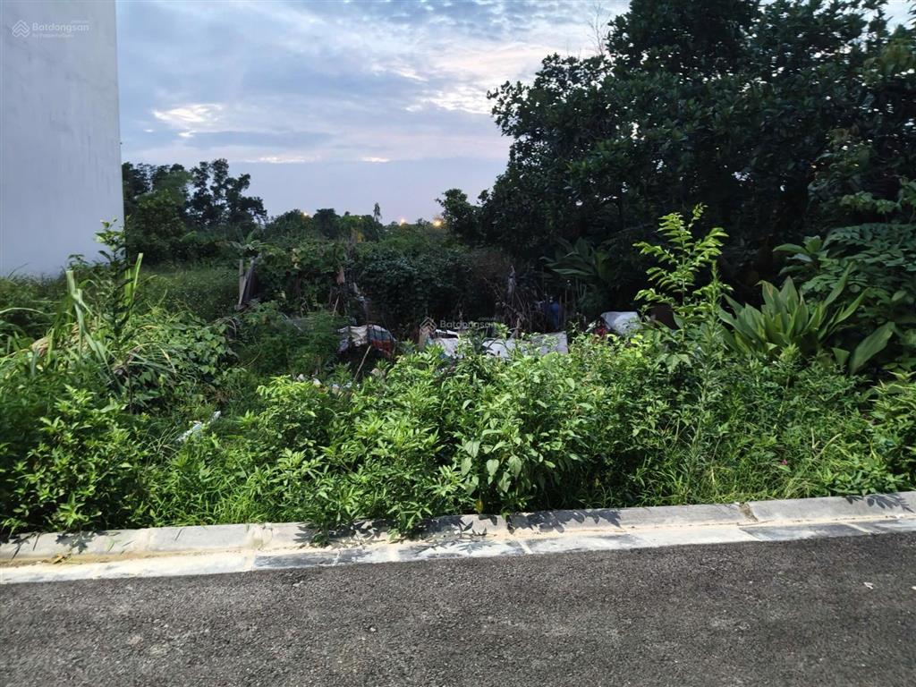 Cần bán nhanh.
đất giãn dân bắc hồng, 150m2, mt6m, 2 ô tô tránh, 8.98 tỷ, đông anh.