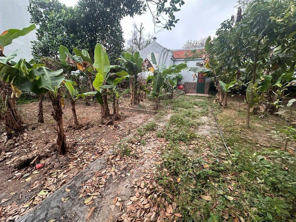 Chỉ với 3.0 tỷ xíu. 75m2, mt 6.9m, nguyên khê, đông anh. ngõ nông, đường thoáng, lại thông