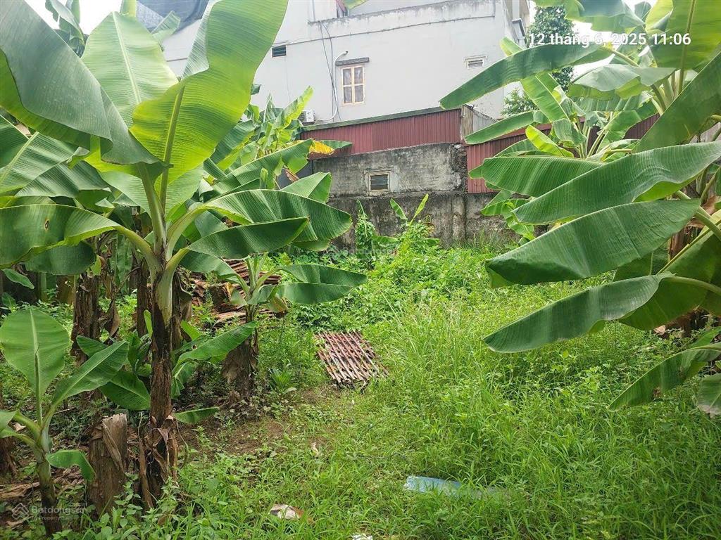 Mê hơn tờ 500. đất xuân canh, 100m2, mt10m, 13.x tỷ, đông anh. ô tô thông.
+ ngõ thông khắp chốn