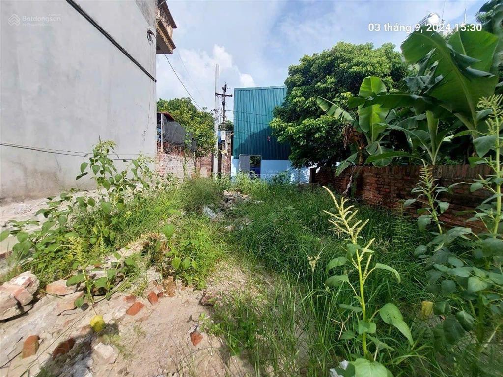 Sát vành đai 3, đường mở qhgt 8m
thửa 125m2, mt6m, 10.1 tỷ, ô tô 7 chỗ, thông, bắc hồng, đông anh