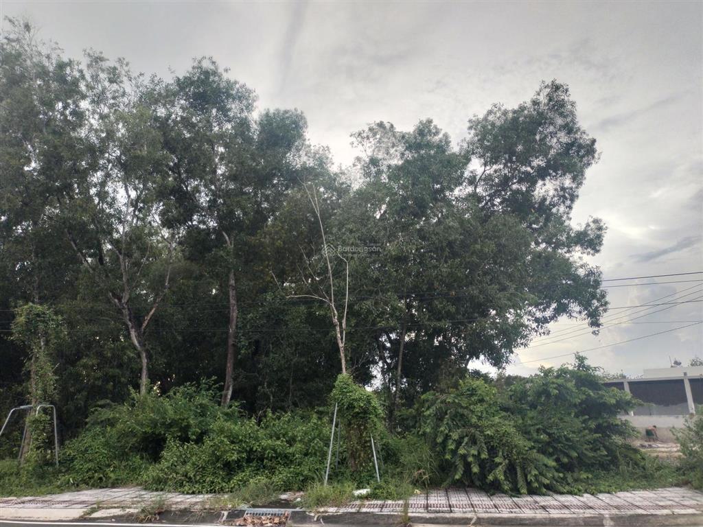 Siêu hot bán đất 4625m2 có 4 triệu / m2 tại lò rèn, xã long hòa, hồ chí minh