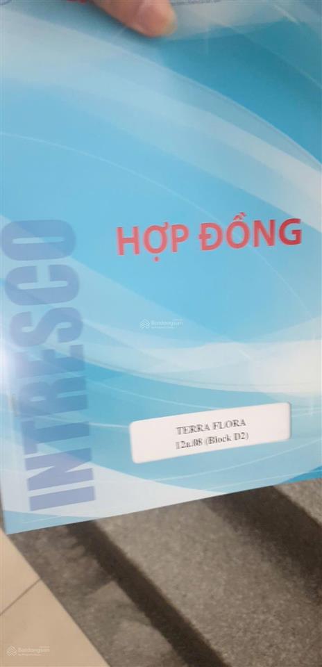 Sàn gdbđs intresco mở bán ch terra flora intresco cho trả góp không cần chứng minh tc ls ưu đãi cđt