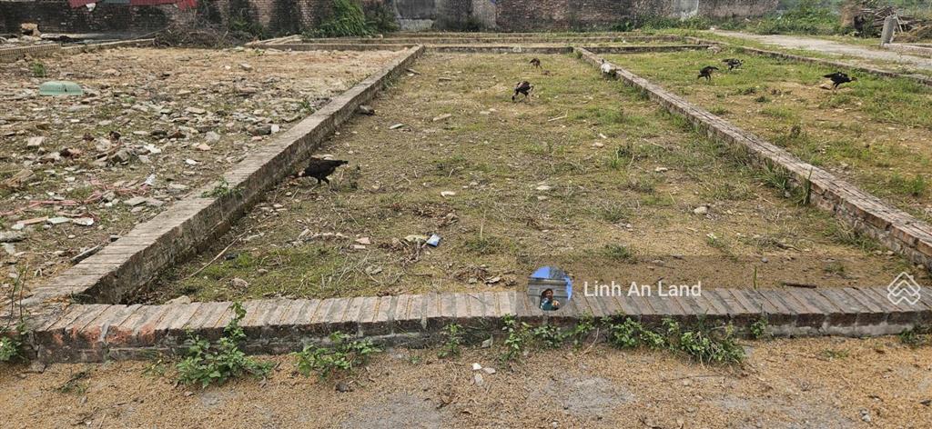 Bán 69m2 tổ 9 tt quang minh ô tô 7 chỗ ngủ trong đất  nhỏ tiền, vuông vắn