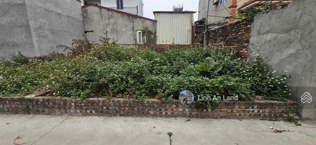 Hoa hậu 56m2 đức hậu, thanh lâm  nhỏ tiền  đường trục làng ô tô tránh, dừng, đỗ