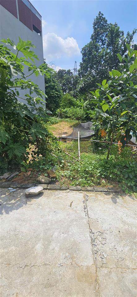 Bán 115m2 đất ngọc trì, kim hoa  nhỏ tiền, sát vành đai 4  vf3 đỗ cửa