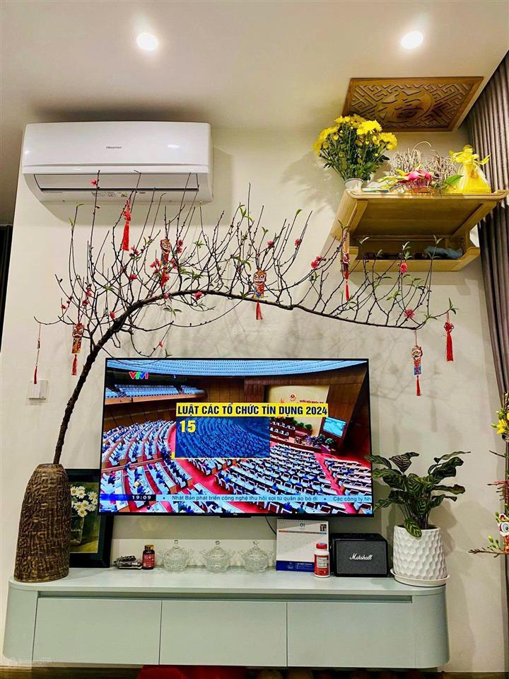 Chính chủ cần bán 1pn +1, dt 47,8m² tòa sa3 giá cực tốt chỉ 3.85 tỷ (gia lộc 50tr khách thiện chí)