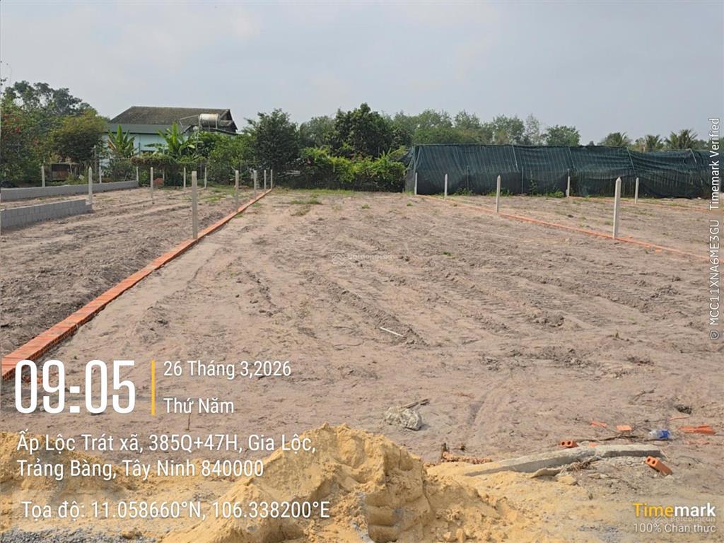Bán thật không ảo, 850 triệu 584m2 trảng bàng (ngang 7 mét nở hậu 10 mét dài 59 mét) full hồng