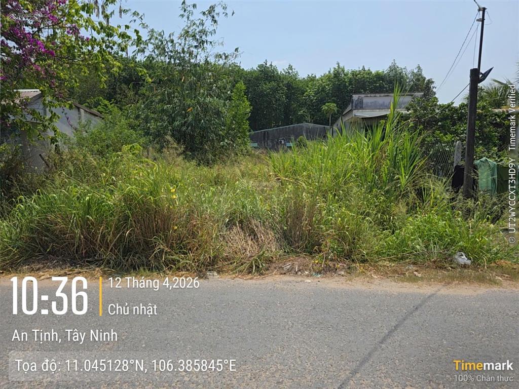 Bán thật không ảo,lô đất mặt tiền kinh doanh 10 x 37 ngay kcn trảng bàng giá 1 tỷ 1 50 triệu