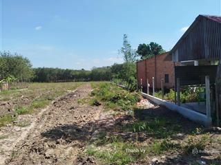 Bán đất xây kho xưởng 1150m2 (10*100) đường xe tải 5,5 tấn chạy vô tư, cách đường lộ chỉ 200m shr