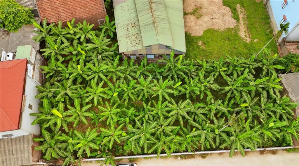 Chính chủ cần bán đất tại minh châu, hà nội. giá hơn 2 tỷ.  0972 616 ***