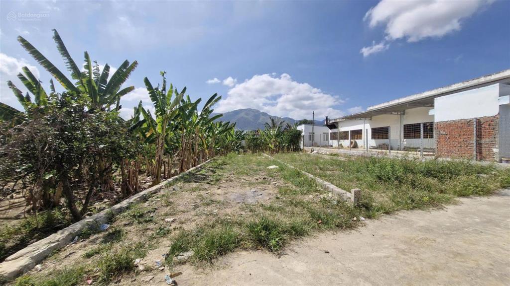 Hiếm có lô 100m giá 1ty8 tại tây nha trang xe hơi tới đất