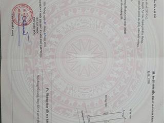 Bán lô đất mặt đường tiên cầm  an thái, an lão, chỉ nhỉnh 1 tỷ, cách trục chính chỉ hơn 100m