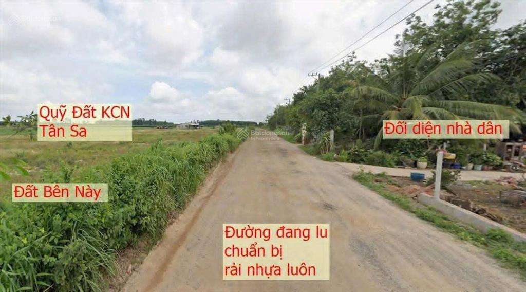 250tr đất minh hoà dt 225m2 có 100m2 thổ cư cách dt749b 200m