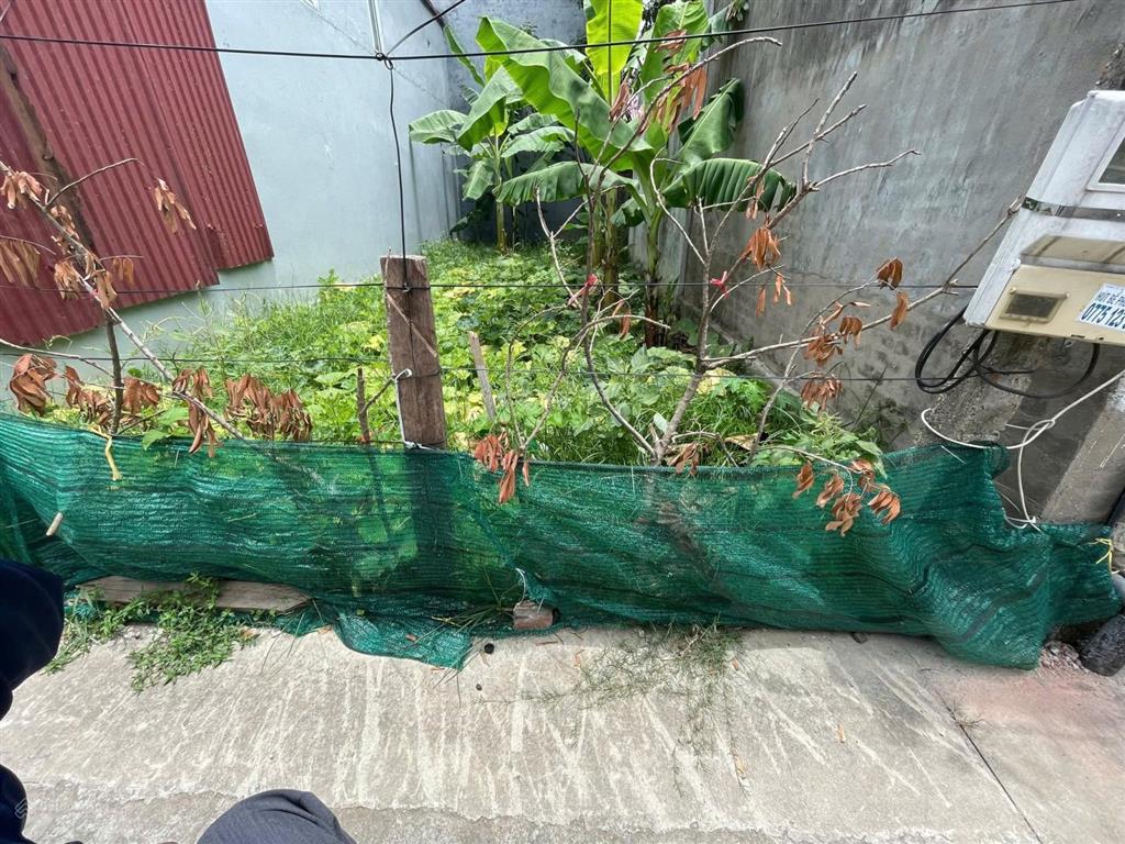 2,2xx tỷ sở hữu 55m full thổ cư tại tiến thắng, mê linh,ngõ thông,gần chợ hoa và vành đai 4