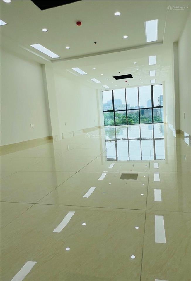 Cho thuê nhà mạc thái tổ 60m²x5.5 tầng, mặt tiền 5m, ô tô tránh, vỉa hè rộng, vị trí đẹp kinh doanh