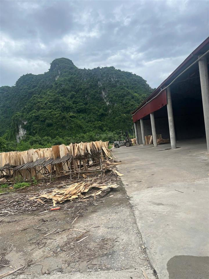 Chính chủ cần bán gấp nhà xưởng xã an bình, lạc thủy, hòa bình