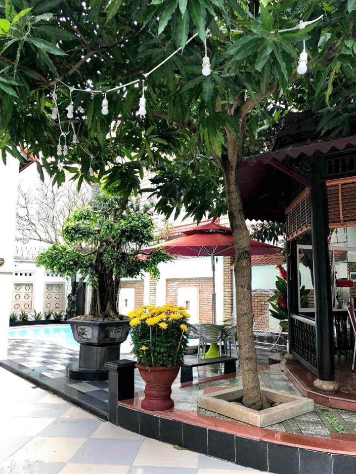 Lô đất sát biển 640m2 + biệt thự 4 tầng + cơ sở gdmn dòng tiền 50tr/th, mặt phố dương đình nghệ