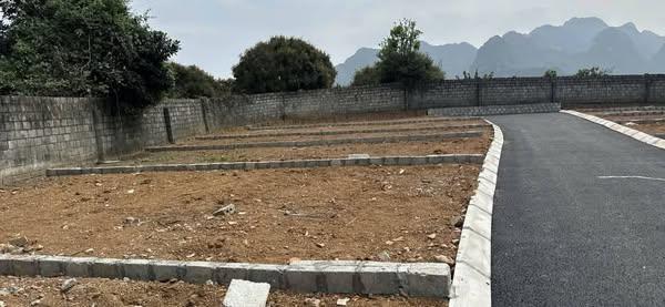 Cần bán gấp lô đất ba hàng đồi giá chỉ có 550 triệu vị trí đẹp, sát đường lớn