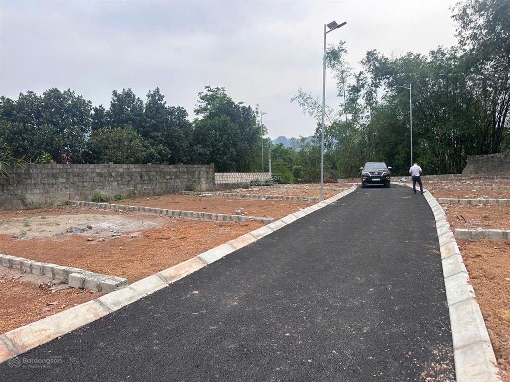 Cần bán gấp lô đất ba hàng đồi giá chỉ có 550 triệu vị trí đẹp, sát đường lớn